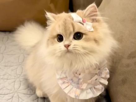 以夏开文四周年快乐!#以你为名的夏天 #任凭舟