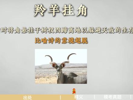 今日成语:羚羊挂角 #省考#行测#申论#面试#传统文化