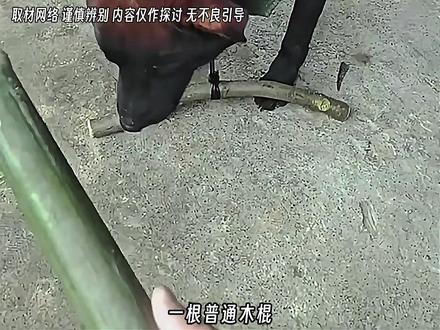 一根普通木棍,真能彻底解决狗狗追车咬人的难题吗? 这根木棍被网友戏称狗狗限速器」,成了网友口中的“天才发明”,相当于给狗狗设置了:奔跑模式和咬人模式,只能二选一。狗界直接迎来“史诗级削弱”:普通狗狗挂木棍,“屡教不改”的换钢管,更夸张的还有挂秤砣、挂电瓶的。#涨知识 #狗狗限速器 #狗 #狗狗的日常 #宠物知识