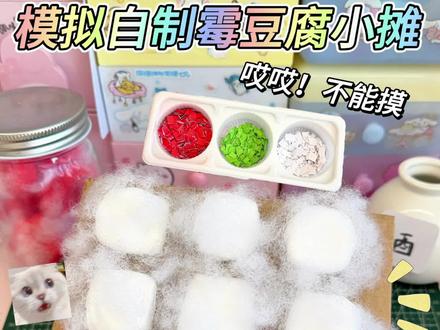 模拟自制霉豆腐 #手工 #自制手工 #手工DIY #自制霉豆腐