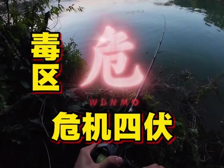 毒区钓鱼并不容易,害~#路亚#钓鱼技巧 #跑毒