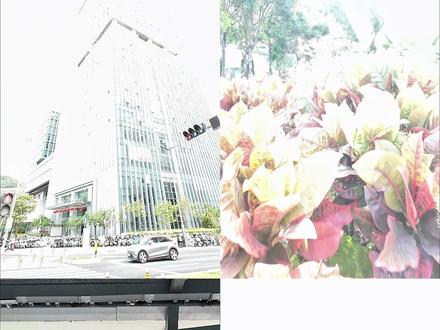 你的大疆action6配件新宠!可变ND滤镜,一片搞定多场景 #泰迅 #大疆action6 #滤镜 #运动相机 #年度最爱数码好物盘点