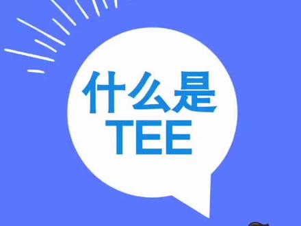 #隐私 #tee #可信计算 #隐私保护 #网络安全 什么是TEE?