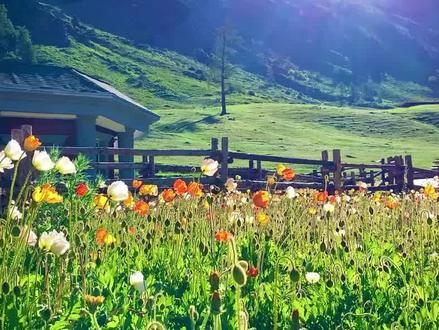 单独选址项目申请用地需要提交哪些资料?#干货 #土地 #用地 #项目选址 #立项