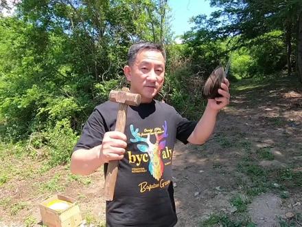 丹东小众景区河蚌随处可见,简单处理后葱油爆炒,为旅行免费加菜