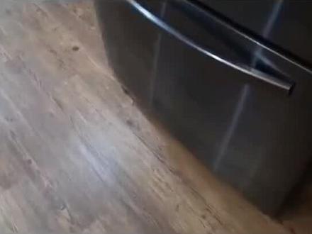 在冰箱里面放个硬币有什么作用?#冷知识 #知识分享#每天跟我涨知识 #有趣的知识又增长了