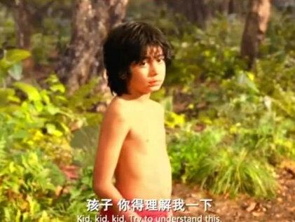 这是我见过套路最深的熊#奇幻森林 #推荐电影 #电影混剪