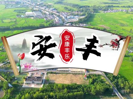 安丰镇
平安喜乐、五谷丰登
寿县中部重镇
#寿县 #安丰镇 #家乡的变化