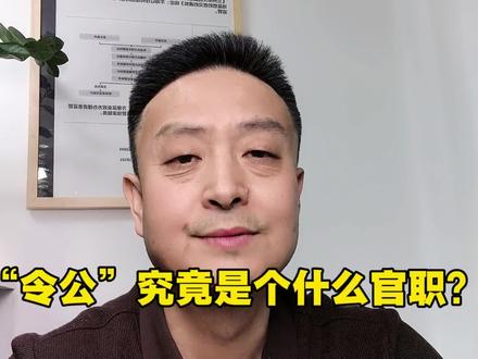 “令公”究竟是个什么官职? #历史故事 #《太平年》
