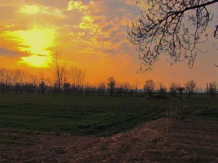 最振奋人心的节气,一定是立春,它在最冷的时刻告诉我们,没有一个冬天是不可逾越的,没有一个春天是不会来临的,纵有三千烦恼,不如拈花一笑;纵有万般苦闷,不如陌上一春,当立春已至,愿你我像植物一样,不紧不慢,不慌不忙,向上蓄力,向光生长。#立春 #今日立春 #情感共鸣 #人生感悟 #治愈系风景