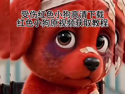 受伤红色小狗原视频获取教程 竖中指红色小狗原视频下载教程 红色小狗原视频高清无水印保存红色小狗原视频制作教程 竖中指受伤红色小狗获取方式来了 红色小狗4k高清无水印下载 被生活打败后的我红色小狗原视频 小红狗原视频获取#剪映