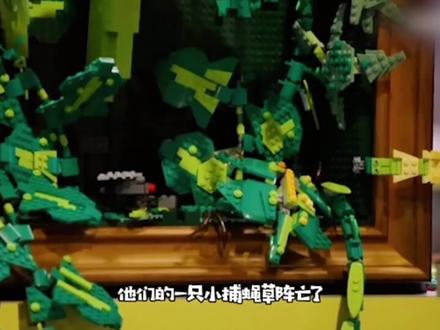 画框挑战来啦!#乐高大师澳版 #乐高moc