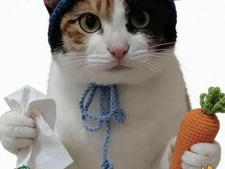 我们至今不知道笨猫纸巾萝卜有多少种形态#猫咪 #超级无敌大开门 #搞笑 #娱乐评论大赏 #纸巾萝卜