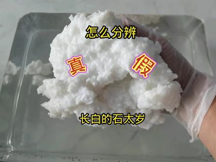 石太岁又名肉灵芝,一起来了解一下 #肉灵芝太岁