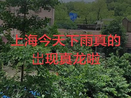 今天上海下大雨真的岀现真龙🐉了