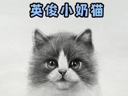 超详解素描小奶猫#零基础学画画 #素描 #素描猫咪