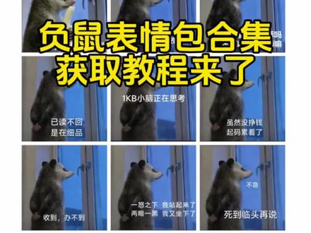 负鼠上班表情包合集 负鼠表情包合集 负鼠表情包原图 打工人搞笑图片 上班人的精神状态 打工人忙碌图片#负鼠表情包 #负鼠上班表情包 #上班人的精神状态图片 #打工人忙碌图片 #负鼠上班表情包合集