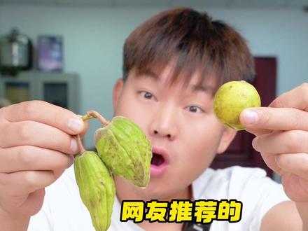 盘点试吃网友推荐的超酸小众水果! #美食测评 #超酸水果