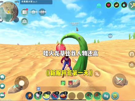 #创造与魔法 哇龙草比我人物还高