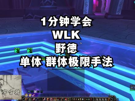 魔兽世界巫妖王之怒WLK 3.35 野德天赋雕文单体群体导图手法教学 #魔兽 #巫妖王 #野德