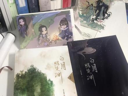 这是我拆过最好看的一个古风立牌了,没有之一,真的太太太👍#实体书 #开箱 #耽推 #实体书开箱 #小说 #帝王攻略