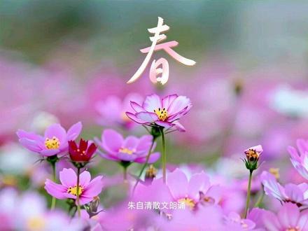 《春》朱自清,散文朗诵
#朱自清散文 #散文朗诵 #少儿朗诵 #春 #七年级上册课文
