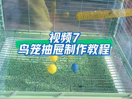 鸟笼抽屉制作教程视频#种草激励计划 #鸟笼 #鹦鹉 #手工 #手工diy