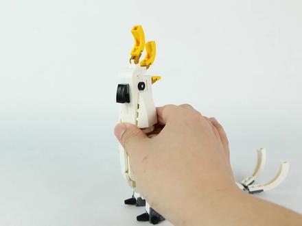 乐高创意百变31133 C模式,搭建一只葵花凤头鹦鹉 #乐高 #积木 #玩具 #鹦鹉 #LEGO #积木玩具