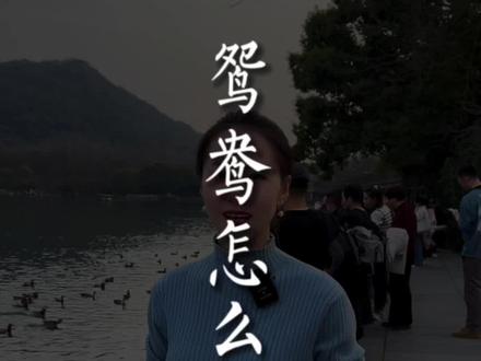 鸳鸯原来很多人分不清#鸳鸯#游浙里 #浙江dou是好风光 #杭州胡娜娜