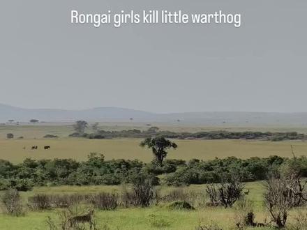 荣嘉女孩的狩猎时间,一个侧翻成功拿下!