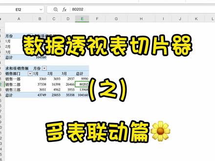 数据透视表切片器之多表联动
#excel技巧 #办公技巧 #office办公技巧 #excel教学 #excel