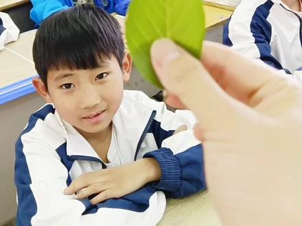 扩句法写树叶,赶紧为孩子点赞收藏吧!#小学语文 #扩句法 #写作#家长收藏孩子受益 @DOU+小助手