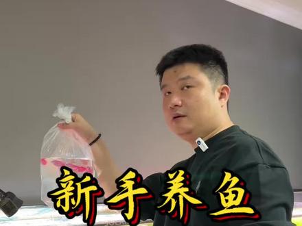 新手养鱼过温过水 #新手养鱼 #过温过水#养鱼小白入门