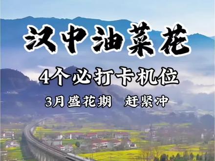 汉中油菜花必打卡的4个机位,3月中下旬盛花期,赶紧冲!#汉中油菜花 #旅行推荐官 #油菜花
