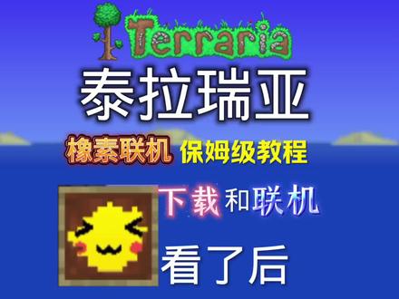 像素连接教程,一看就会#凡星玩泰拉#联机教程#泰拉瑞亚