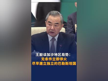 #王毅谈加沙地区局势 :无条件立即停火,尽早建立独立的巴勒斯坦国