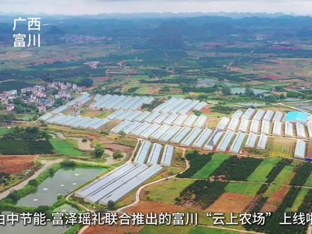 富川现实版“开心农场”上线啦,快来认领你的“一亩三分地”吧! (采编、剪辑:李景妍)#富川 #云上农场 #大棚蔬菜 #快乐农夫 #开心农场