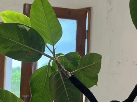 敢翻脸就是在抬高自己的底线,这样会一步步筛掉身边的烂人。全体女生都学起来!!!#开智 #女性成长 #原生家庭 #女性 #女性智慧
