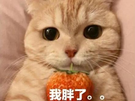 有个恶魔弟弟是种怎样的体验3#感情共鸣 #超雄综合征
