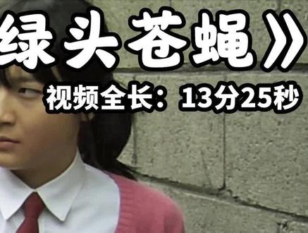 好电影值得再次分享,13分看完韩国剧情片#绿头苍蝇 #萤火计划