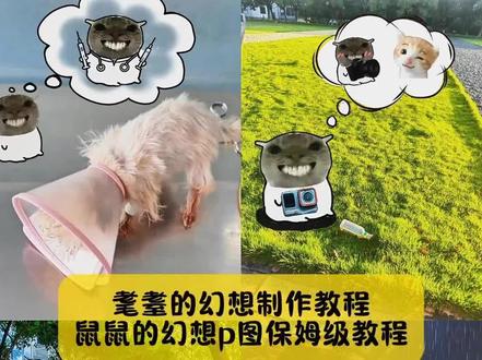 大家不要再被骗了,你要的,耄耋的幻想制作教程,鼠鼠的幻想p图教程来了,模板已做好#鼠鼠的幻想 #鼠鼠的幻想素材 #鼠鼠的幻想制作教程 #鼠鼠的幻想p图教程 #剪映 鼠鼠的幻想素材 鼠鼠的幻想怎么做 鼠鼠的幻想钱鼠鼠的幻想世界 鼠鼠的幻想表情包鼠鼠的幻想怎么做什么软件 鼠鼠的幻想驾驶证 鼠鼠的幻想制作教程 鼠鼠的幻想是什么梗 鼠鼠的幻想素材 耄耋幻想素材图 鼠鼠减肥幻想图片 鼠鼠的幻想p图教程 鼠鼠的幻想表情包 鼠鼠的幻想素材三角洲 鼠鼠的幻想素材女 鼠鼠的幻想素材徒步素材 鼠鼠的幻想素材摩托车 鼠鼠的幻想素材滑板 鼠鼠的幻想素材健身 鼠鼠的幻想素材脚车 鼠鼠的幻想素材哭泣 鼠鼠的幻想素材部队 鼠鼠幻想图片素材 鼠鼠的幻想钱P图素材 耄耋的幻想p图教程 耄耋的幻想素材 鼠鼠的幻想素材篮球 鼠鼠的幻想怎么做ppt 鼠鼠的幻想怎么做什么软件 鼠鼠的幻想怎么做关于学习 鼠鼠的幻想怎么做剪映 鼠鼠的幻想怎么做醒图 鼠鼠的幻想怎么做王者 鼠鼠的幻想怎么做摄影 鼠鼠的幻想表情包王者 鼠鼠的幻想怎么做 鼠鼠的幻想表情包摄影 鼠鼠的幻想表情包三角洲 鼠鼠的幻想表情包制作 鼠鼠的幻想表情包捷风 鼠鼠的幻想表情包骑机车 鼠鼠的幻想表情包大全 鼠鼠的幻想表情包制作 鼠鼠表情包动图gif下载 鼠鼠的幻想p图教程 耄耋的幻想动图壁纸 鼠鼠的幻想p图排球鼠鼠的幻想p图摩托车 鼠鼠的幻想р图崩铁 鼠鼠的幻想p图户外 鼠鼠的幻想р图暮蝶 鼠鼠的幻想p图恋爱 鼠鼠的幻想p图无名 鼠鼠的幻想p图美发 鼠鼠的幻想p图cs 鼠鼠的幻想p图教程自行车 鼠鼠的幻想p图教程游戏 鼠鼠的幻想р图教程吃饭 鼠鼠的幻想p图教程女生 鼠鼠的幻想p图教程有钱 鼠鼠的幻想p图教程设计师 鼠鼠的幻想p图教程数学 鼠鼠的幻想р图教程软件 游戏 吃饭女生 有钱 设计师数学软件 科学家