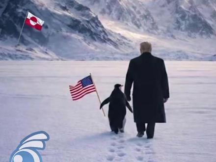 格陵兰岛根本没有企鹅!美国犯常识性错误引群嘲#百姓关注主播说 @璇子