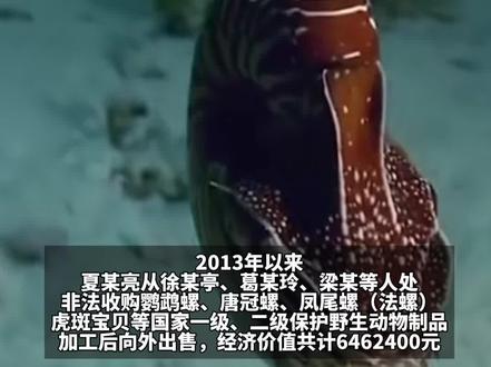 出售珍贵濒危野生动物,罚!