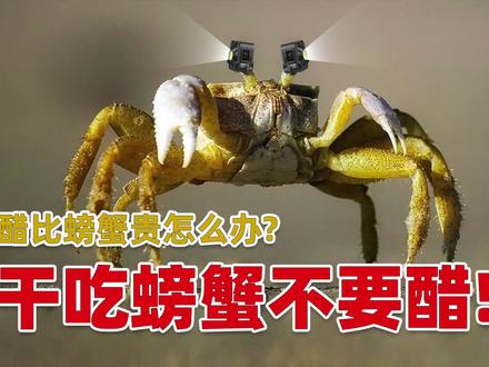 398干吃螃蟹不沾醋!永诺lux100最划算用法分享