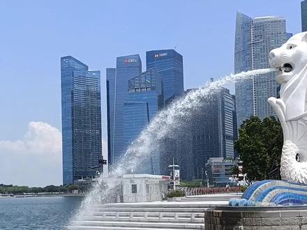 来新加坡留学生活才知道的事 #新加坡 #留学生活 #中国移动 #cmlink新加坡#中国移动CMLink新加坡