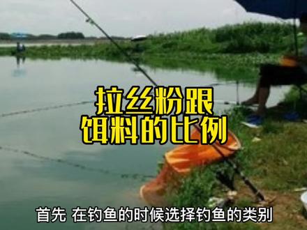 拉丝粉跟饵料的比例 #饵料搭配 #拉丝粉 #钓鱼技巧