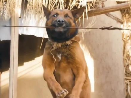 剪辑动作大片,分享好歌,超级国产好看大片。