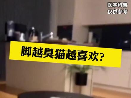 用脚撸猫,猫真的会得脚气吗?#生活冷知识#传染病 #养猫 #脚气 #糜烂型型脚气 #医学科普