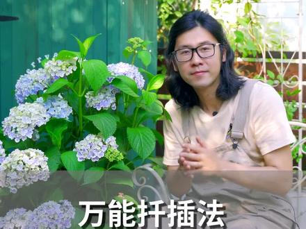 万能扦插法,植物扦插一招搞定!@抖音小助手 #养花 #花卉绿植 #扦插