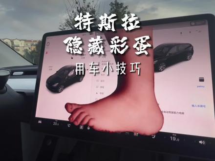 特斯拉的火星模式你见过吗?那么多的隐藏彩蛋你知道多少呢?记得看到结尾哦#特斯拉 #model3 #modely